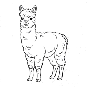 Disegno di Animale Alpaca da colorare