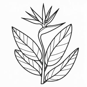 Disegno di Fiore dell'uccello del paradiso da colorare