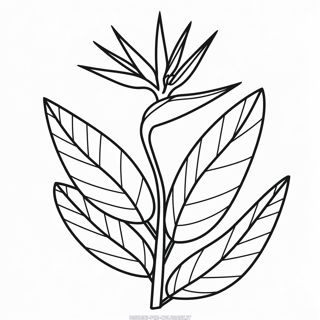 Disegno di Fiore dell'uccello del paradiso da colorare