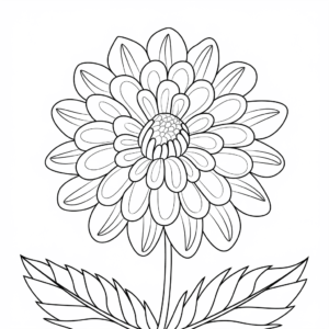 Disegno di fiore di dalia da colorare