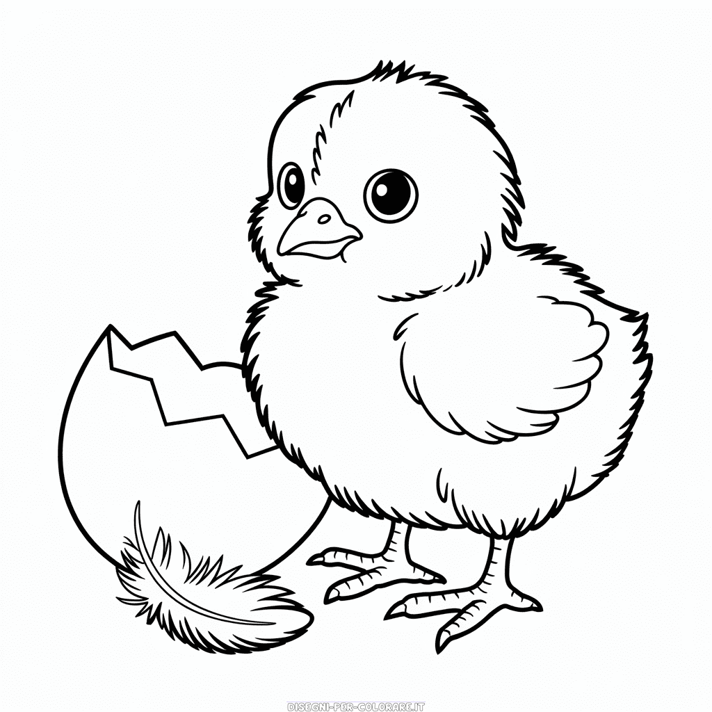 Disegno di Pulcino da Colorare