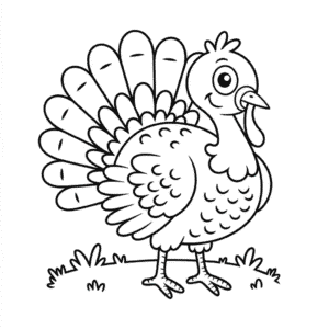 Disegno di Tacchino Basico da Colorare