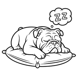 Disegno di Bulldog da Colorare