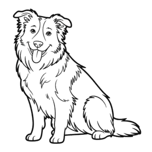 Disegno di Cane Border Collie da Colorare