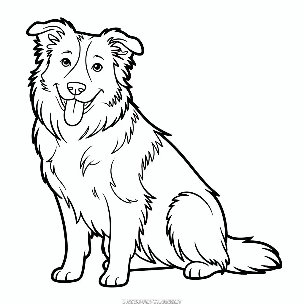 Disegno di Cane Border Collie da Colorare