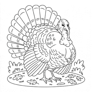 Disegno di Grande Tacchino da Colorare