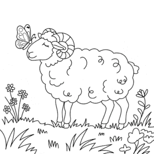 Disegno di Pecora Adulta da Colorare