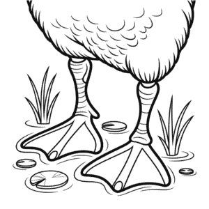 Disegno di Piedi d'Anatra da Colorare