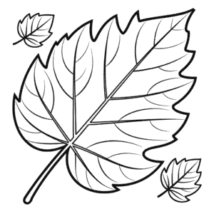 Disegno di Foglia Autunnale da Colorare