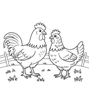 Disegno di Gallo e Gallina da Colorare