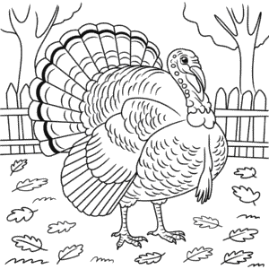 Disegno di Immagine del Tacchino da Colorare