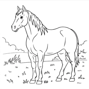 Disegno di Vero Cavallo da Colorare