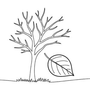 Disegno di Albero Autunnale Spoglio da Colorare