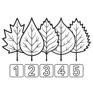 Disegno di Matematica dell'Autunno da Colorare